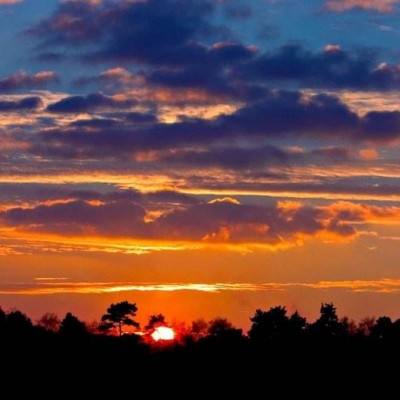 bd半岛·体育中国官方网站截图